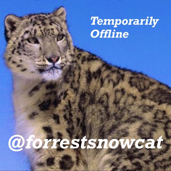 LACE EMBELLISHED Black Long Lace Sleeve Henley/Tee - Picture 2 of 7